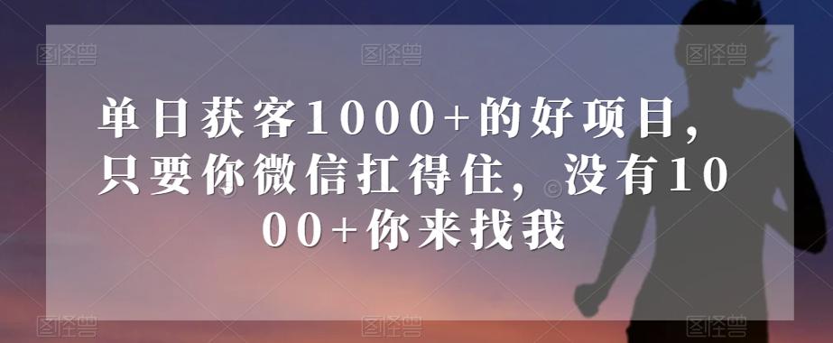 单日获客1000+的好项目，只要你微信扛得住，没有1000+你来找我【揭秘】-Ai创业网