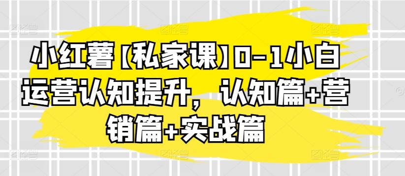 小红薯【私家课】0-1小白运营认知提升，认知篇+营销篇+实战篇-Ai创业网