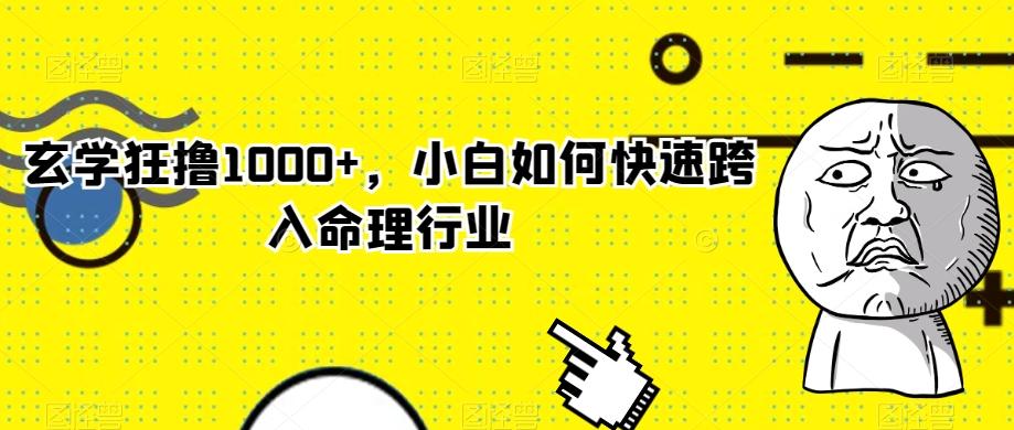 玄学狂撸1000+，小白如何快速跨入命理行业-Ai创业网