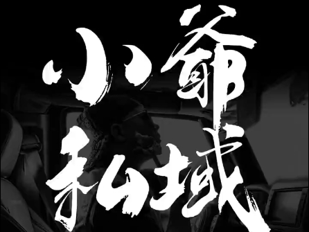 小爷·私域项目操盘手-Ai创业网