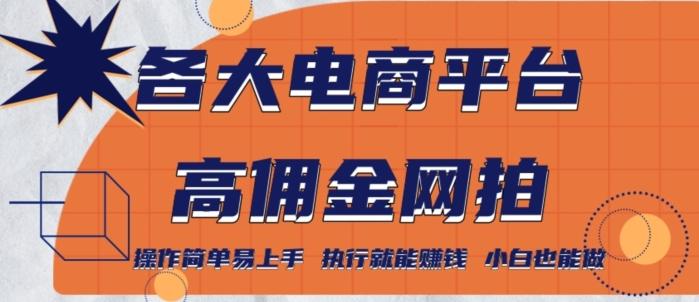各大电商平台高佣金网拍，操作简单易上手，执行就能赚钱，小白也能做-Ai创业网