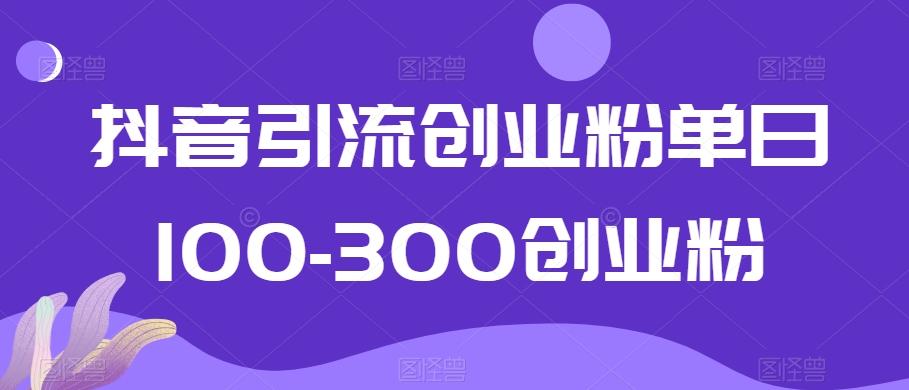 抖音引流创业粉单日100-300创业粉【揭秘】-Ai创业网