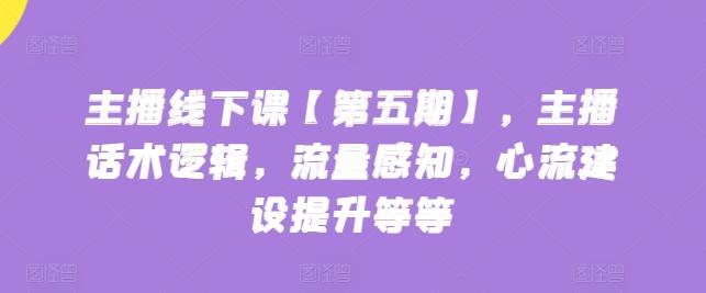主播线下课【第五期】，主播话术逻辑，流量感知，心流建设提升等等-Ai创业网