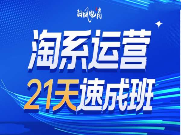 淘系运营21天速成班35期，年前最后一波和2025方向-Ai创业网
