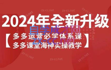 海神老师·拼多多运营必学体系课-Ai创业网