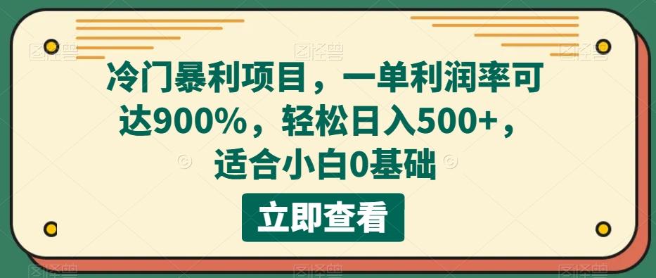 冷门暴利项目，一单利润率可达900%，轻松日入500+，适合小白0基础-Ai创业网