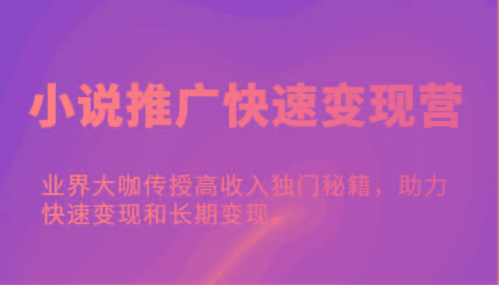 小说推广快速变现营-业界大咖传授高收入独门秘籍，助力快速变现和长期变现。-Ai创业网
