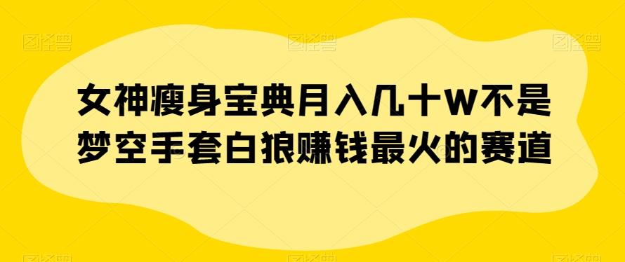 女神瘦身宝典月入几十W不是梦空手套白狼赚钱最火的赛道【揭秘】-Ai创业网