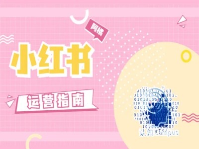 小红书运营指南，没有套路，全是经验-Ai创业网