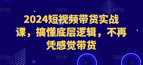 2024短视频带货实战课，搞懂底层逻辑，不再凭感觉带货-Ai创业网