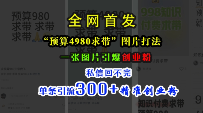 小红书“预算4980带我飞”图片打法，一张图片引爆创业粉，私信回不完，单条引流300+精准创业粉-Ai创业网