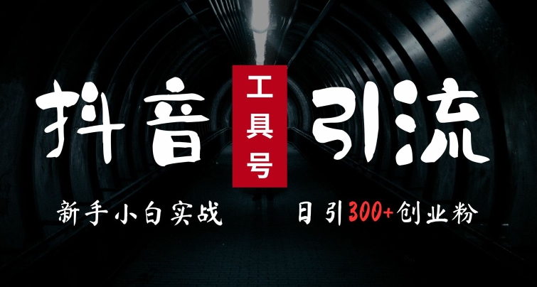 2024最新抖音工具号引流玩法，高效日引300+创业粉，当天变现5k，小白也可成为实战高手-Ai创业网