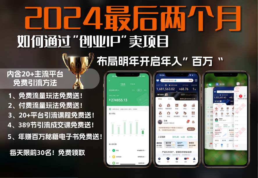 2024最后两个月如何通过”创业IP“卖项目年入”百万“,创业IP+最强引流...-Ai创业网