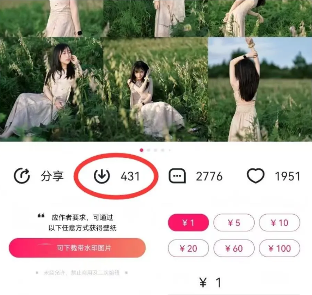 最新图虫搬运项目，收益无上限，利用AI小白也可日赚500+-Ai创业网