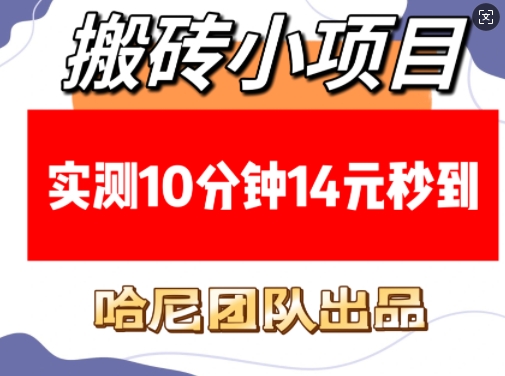 搬砖小项目，实测10分钟14元秒到，每天稳定几张(赠送必看稳定)-Ai创业网