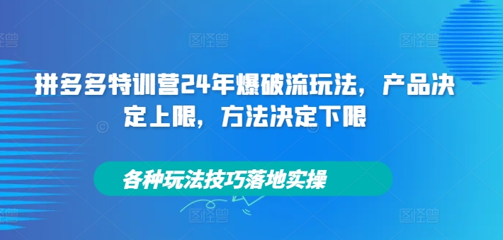 拼多多特训营24年爆破流玩法，产品决定上限，方法决定下限，各种玩法技巧落地实操-Ai创业网