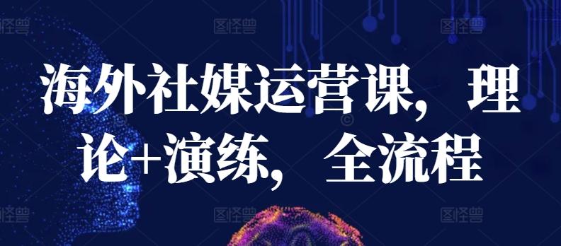 海外社媒运营课，理论+演练，全流程-Ai创业网