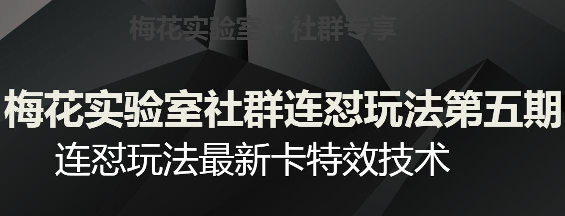 梅花实验室社群连怼玩法第五期，视频号连怼玩法最新卡特效技术-Ai创业网