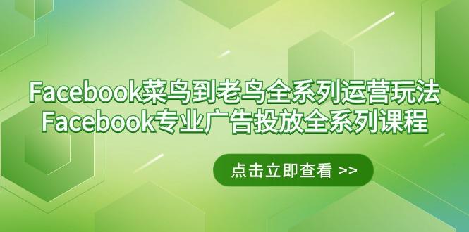 Facebook-菜鸟到老鸟全系列运营玩法+Facebook-专业广告投放全系列课程-Ai创业网
