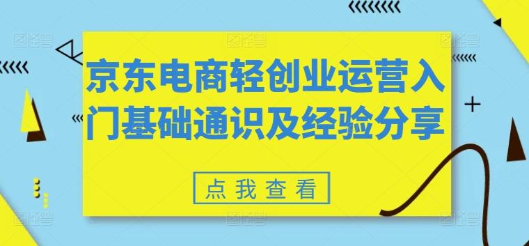 京东电商轻创业运营入门基础通识及经验分享-Ai创业网
