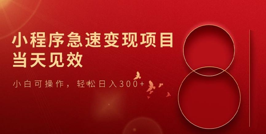 小程序急速变现项目，当天见效，小白可操作，轻松日入300+-Ai创业网