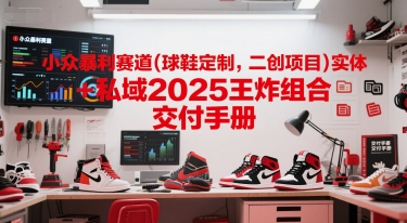 小众暴利赛道(球鞋定制，二创项目)实体+私域2025王炸组合  交付手册-Ai创业网