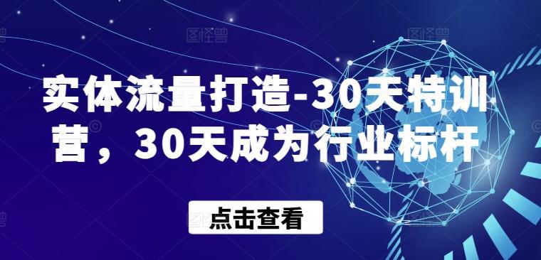 实体流量打造-30天特训营，30天成为行业标杆-Ai创业网