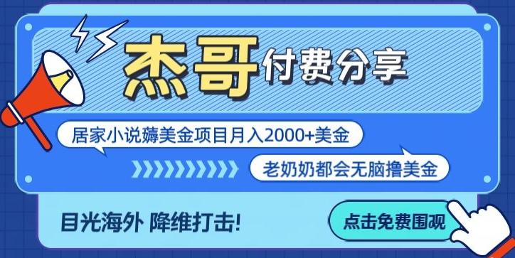拆解海外撸美金项目月入2000美刀详细指导-Ai创业网