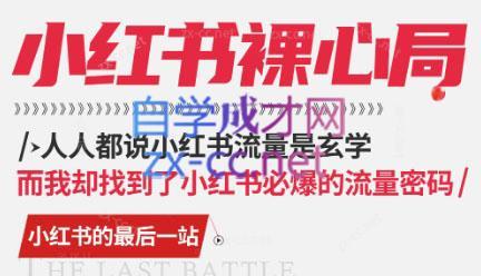 月月老师·小红书低粉高变现课-Ai创业网