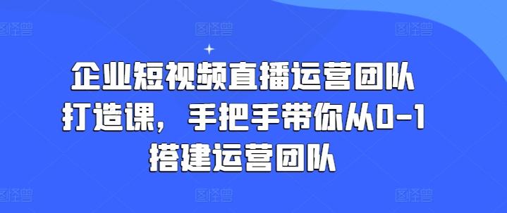 企业短视频直播运营团队打造课，手把手带你从0-1搭建运营团队-Ai创业网