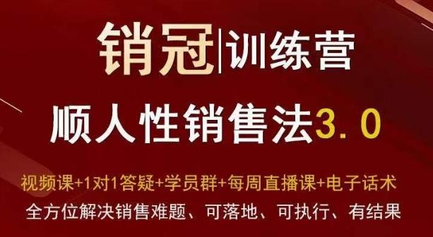 爆款！销冠训练营3.0之顺人性销售法，全方位解决销售难题、可落地、可执行、有结果-Ai创业网
