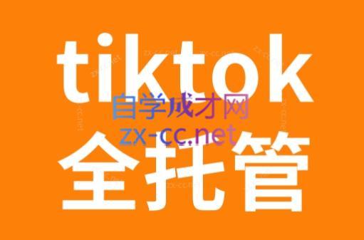 TikTok跨境电商全托管运营模式精品课-Ai创业网