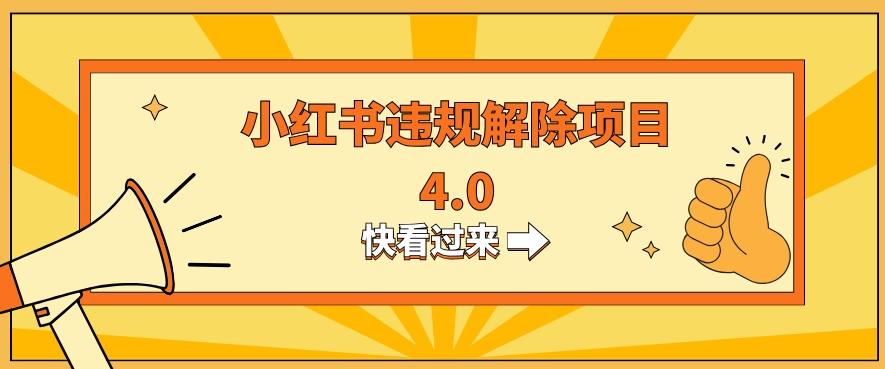 小红书违规掘金蓝海项目，日入800+（附带引流办法及解除办法）-Ai创业网