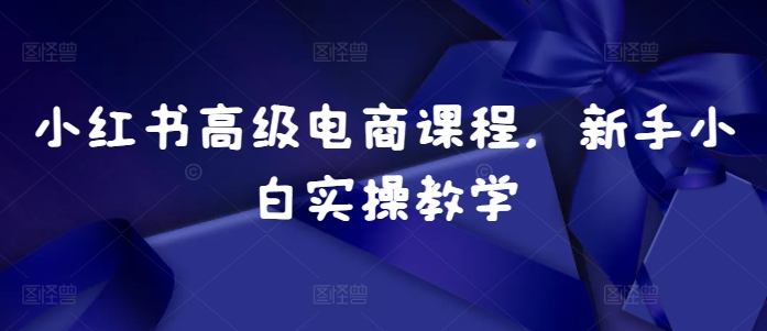 小红书高级电商课程，新手小白实操教学-Ai创业网