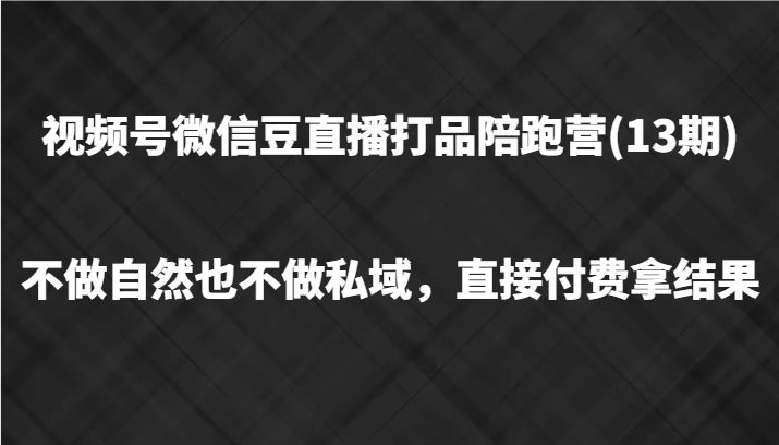 视频号微信豆直播打品陪跑(13期)，不做不自然流不做私域，直接付费拿结果-Ai创业网
