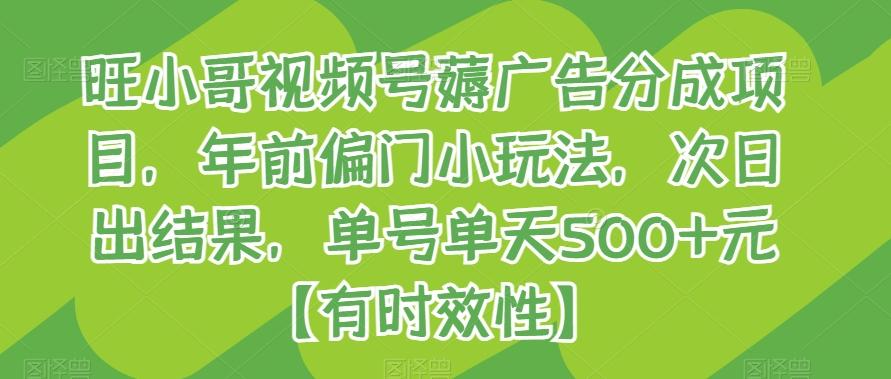 旺小哥视频号薅广告分成项目，年前偏门小玩法，次日出结果，单号单天500+元【有时效性】-Ai创业网