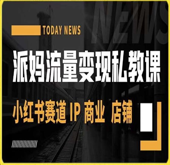 派妈流量变现私教课，小红书赛道IP  商业  店铺 -Ai创业网