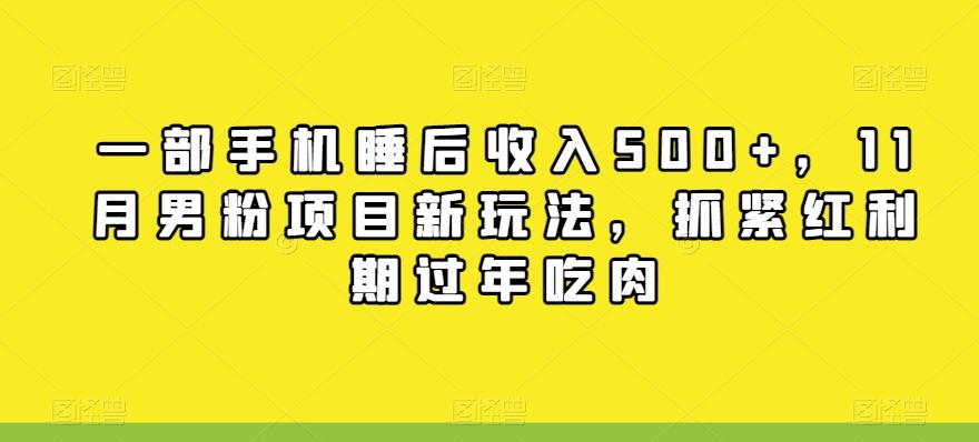 一部手机睡后收入500+，11月男粉项目新玩法，抓紧红利期过年吃肉-Ai创业网