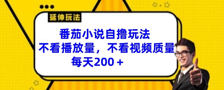 番茄小说自撸玩法，不看播放量，不看视频质量，每天200+【揭秘】-Ai创业网