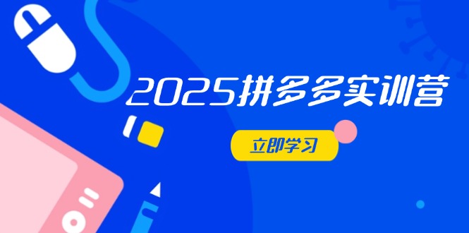2025拼多多实训营：深度剖析运营关键，助力电商人快速提升-Ai创业网