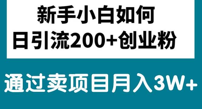 新手小白日引流200+创业粉,通过卖项目月入3W+-Ai创业网