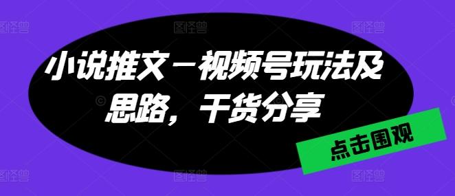 小说推文—视频号玩法及思路，干货分享-Ai创业网