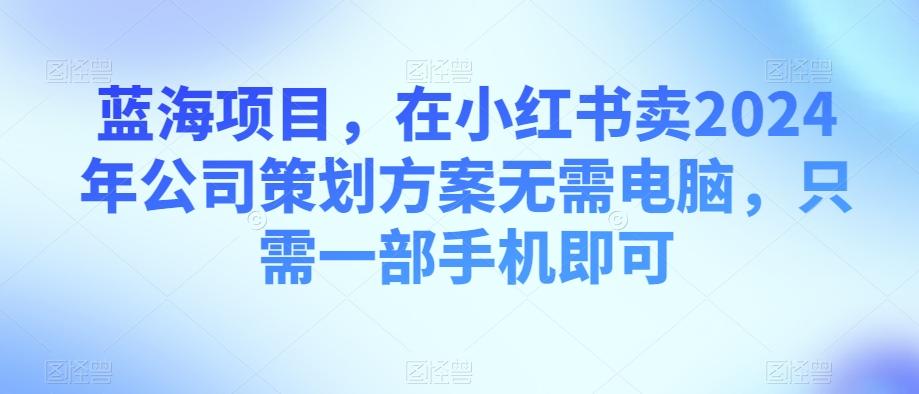 蓝海项目，在小红书卖2024年公司策划方案无需电脑，只需一部手机即可-Ai创业网