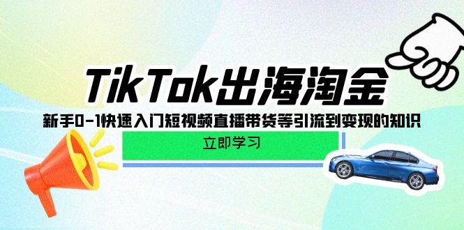 (10035期)TikTok-出海淘金，新手0-1快速入门短视频直播带货等引流到变现的知识-Ai创业网