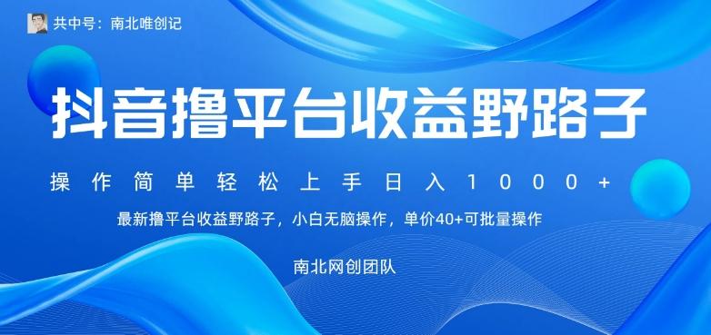 最新撸抖音平台收益野路子，操作简单，单价高，小白可无脑操作可日入1000+-Ai创业网