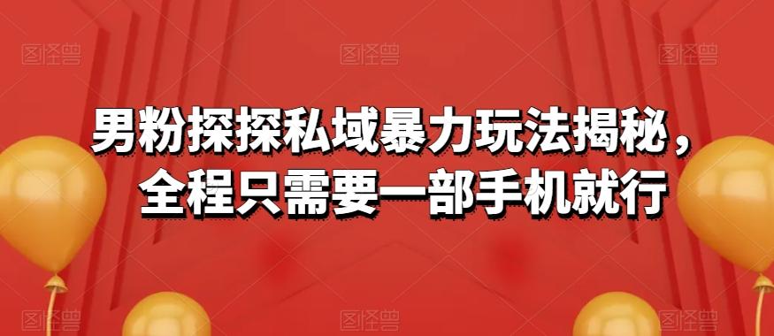 男粉探探私域暴力玩法揭秘，全程只需要一部手机就行-Ai创业网