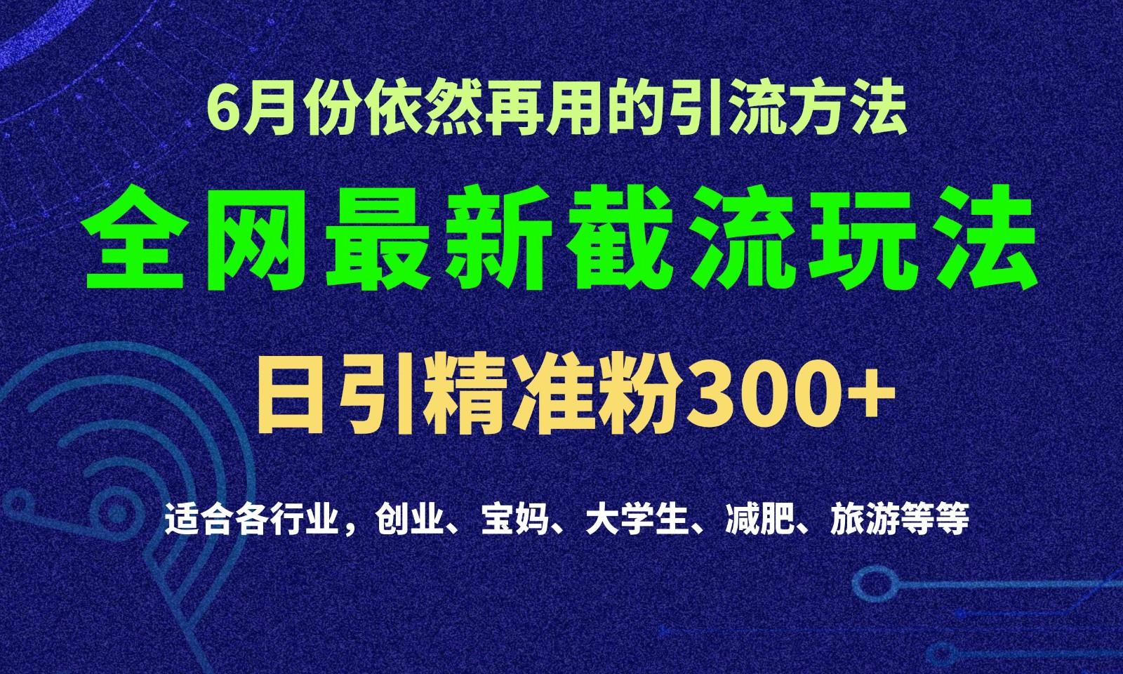 2024全网最新截留玩法，每日引流突破300+-Ai创业网