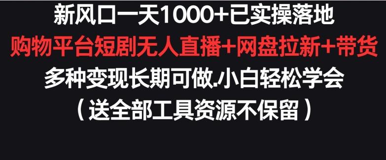 新风口一天1000+已实操落地购物平台短剧无人直播+网盘拉新+带货多种变现长期可做【揭秘】-Ai创业网