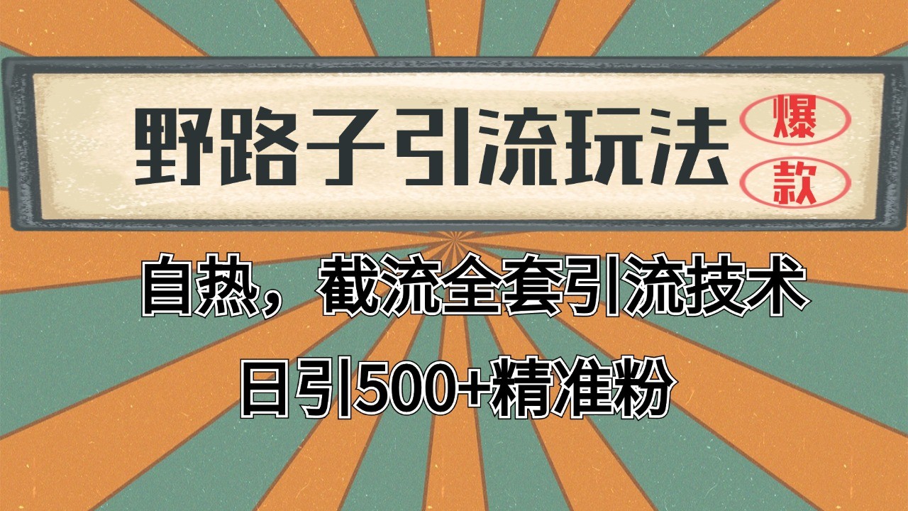 2024首发野路子引流玩法截流自热全平台打法，全自动引流【日引2000+精准客户】-Ai创业网