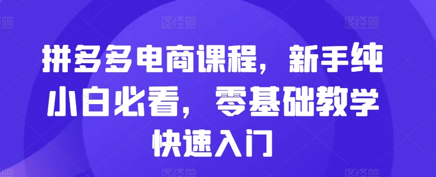 拼多多电商课程，新手纯小白必看，零基础教学快速入门-Ai创业网